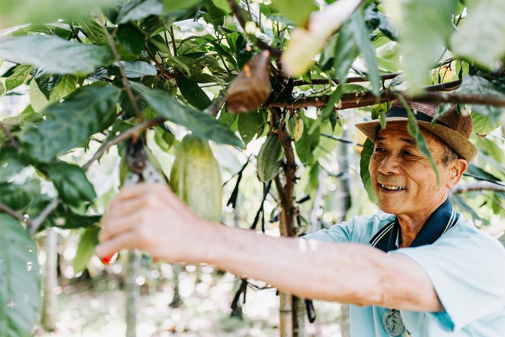 屏東可可農目前約有140位與福灣進行合作，製作出各式各樣的巧克力-min