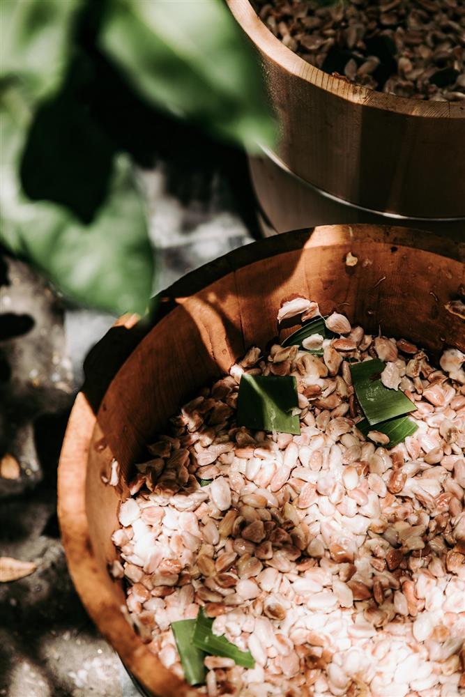 透過發酵過程，可以將可可豆本身的強烈酸味去除-min