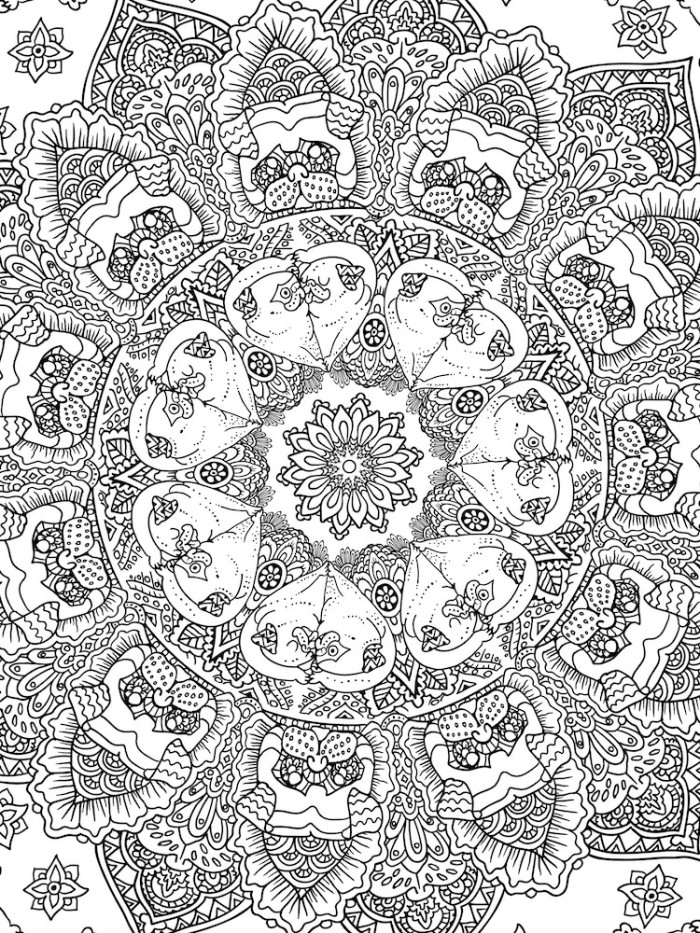 居家防疫學習提案！風格著色畫、繪本有聲書、職業攝影課程等9款免費資源