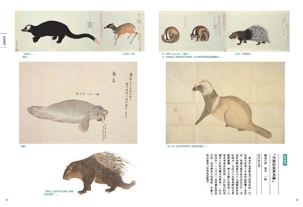 08.《外國珍禽異鳥圖》編者不詳 08.《外國珍禽異鳥圖》編者不詳