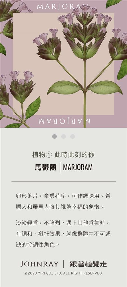 「跟著植覺走」手繪植物互動測驗！約翰森林JOHNRAY全新網站 與40種香氛植物心靈對話