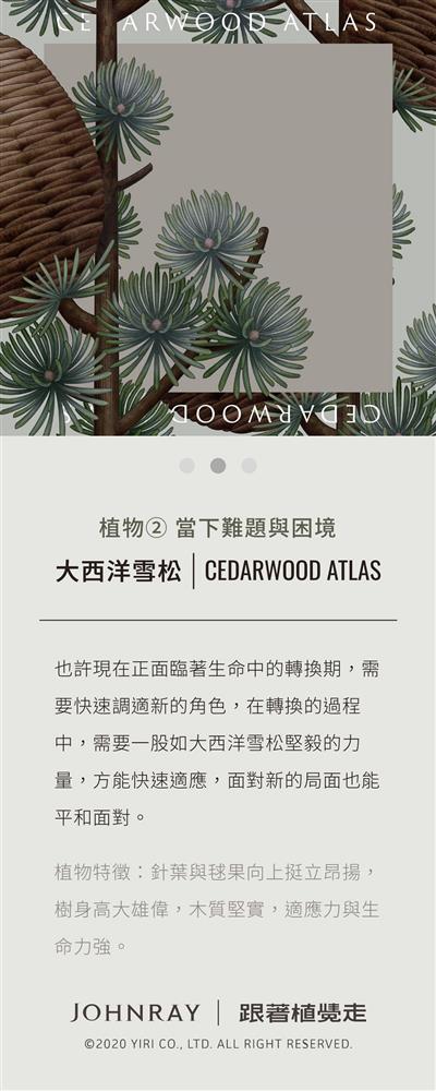 「跟著植覺走」手繪植物互動測驗！約翰森林JOHNRAY全新網站 與40種香氛植物心靈對話