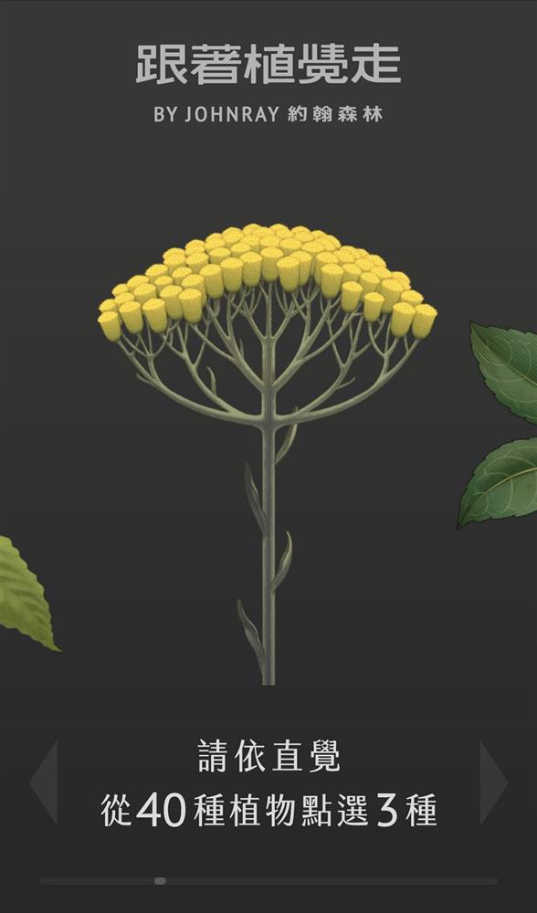 「跟著植覺走」手繪植物互動測驗！約翰森林JOHNRAY全新網站 與40種香氛植物心靈對話