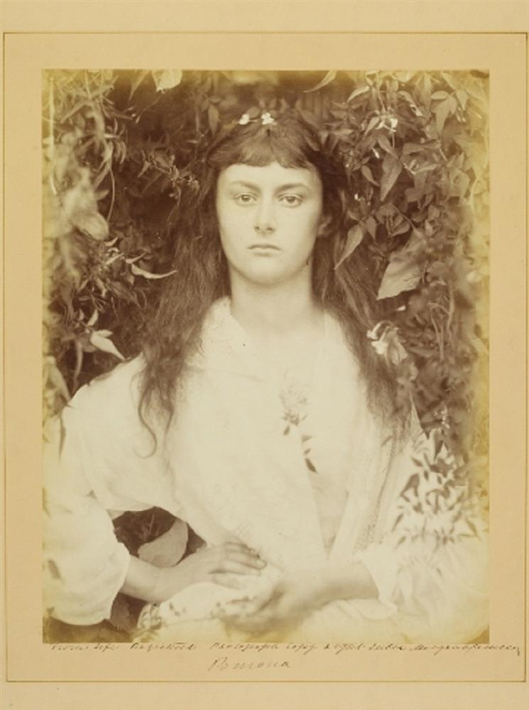 PhotoCap_004_195 PhotoCap_004_195