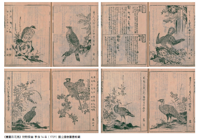 畫圖百花鳥 畫圖百花鳥