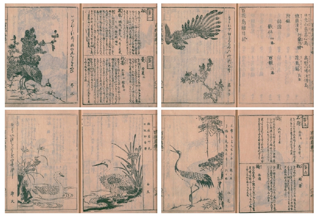 畫圖百花鳥 畫圖百花鳥