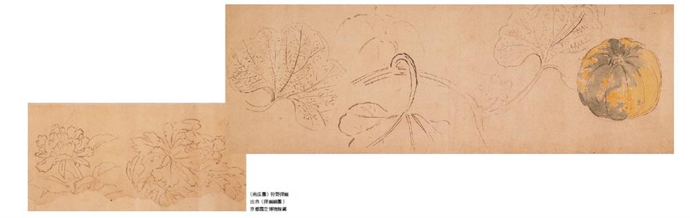 細膩鳥語花香工筆畫!日本最大畫派「狩野派」鮮為人知的動植物寫生_05 細膩鳥語花香工筆畫!日本最大畫派「狩野派」鮮為人知的動植物寫生_05