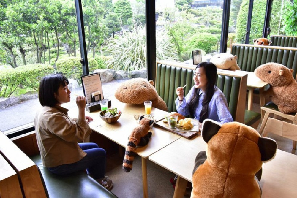 防疫隔離也能有創意!荷蘭河畔玻璃屋包廂serresséparées、日本動物園餐廳「水豚君」陪客
防疫隔離也能有創意!荷蘭河畔玻璃屋包廂serresséparées、日本動物園餐廳「水豚君」陪客