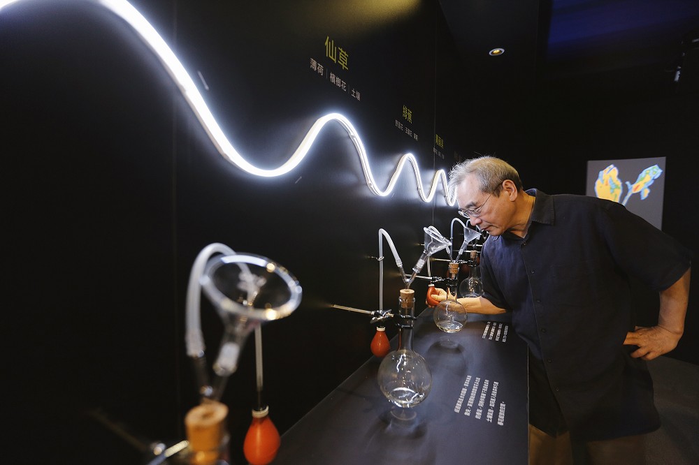 圖說：透過嗅覺體驗不同的茶葉發酵風味