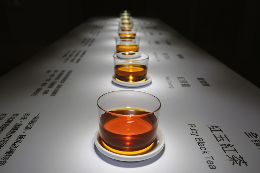 圖說：不同程度的發酵帶來不一樣的茶色(2)