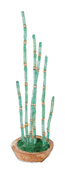 夏天的顏色！韓紅花、藤黃、露草等五個日本夏令代表色 源於傳統的迷人季節色彩