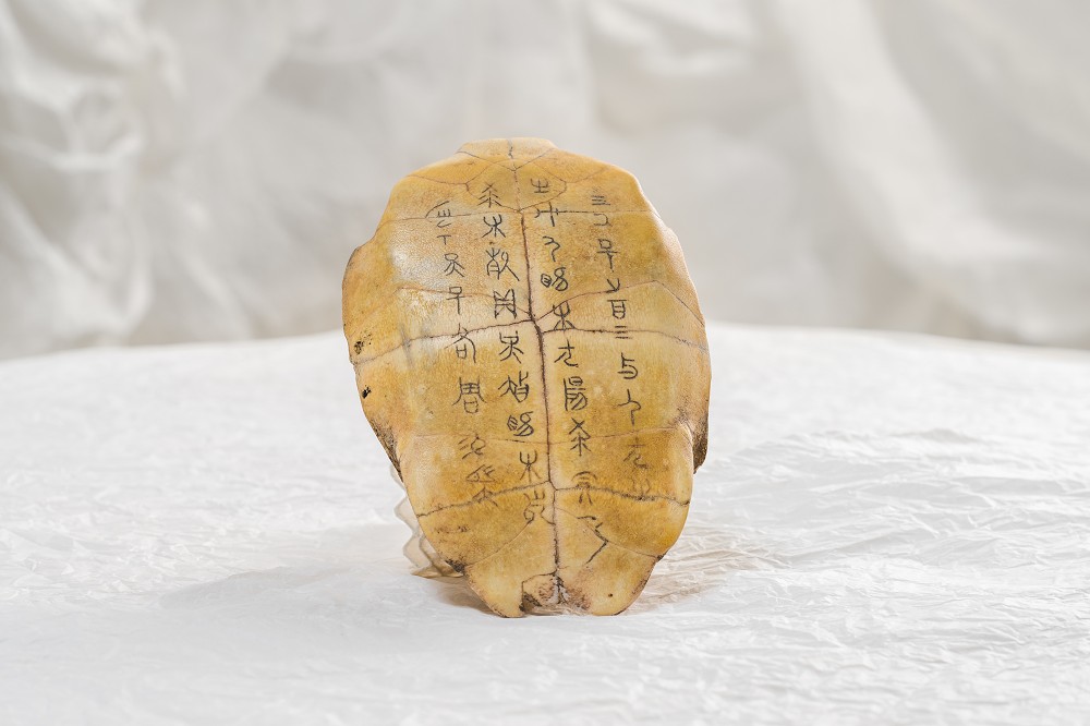 台中纖維工藝博物館《縫隙》鳳嬌催化室