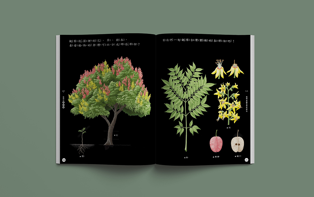 美感細胞第三季_自然內頁_1