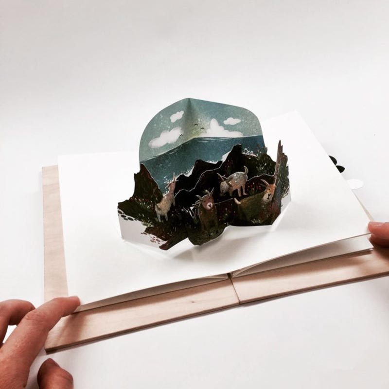 flipermag-2020-07-02_22-08-05_269769-750x750