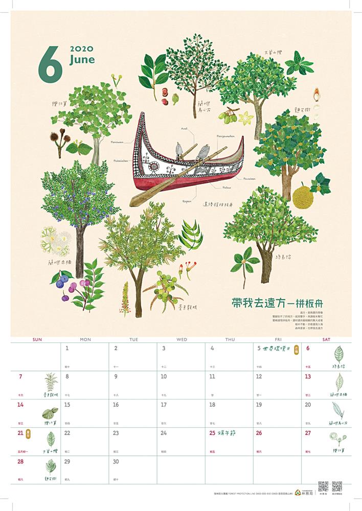 今年6月份的月曆當中，詳細記載製作達悟族拼板舟所需的7種木材。