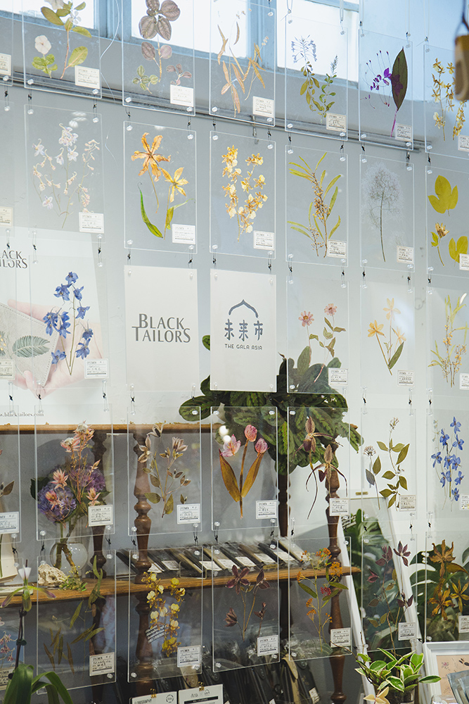 礦石上的植物圖鑑