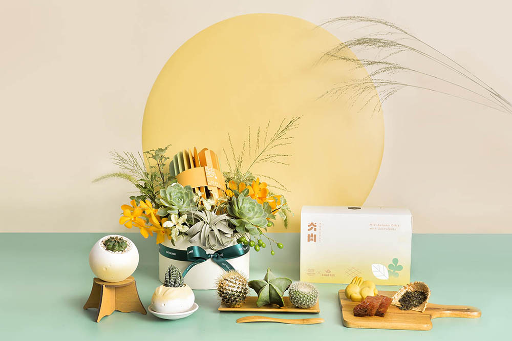 中秋夯肉植物禮盒