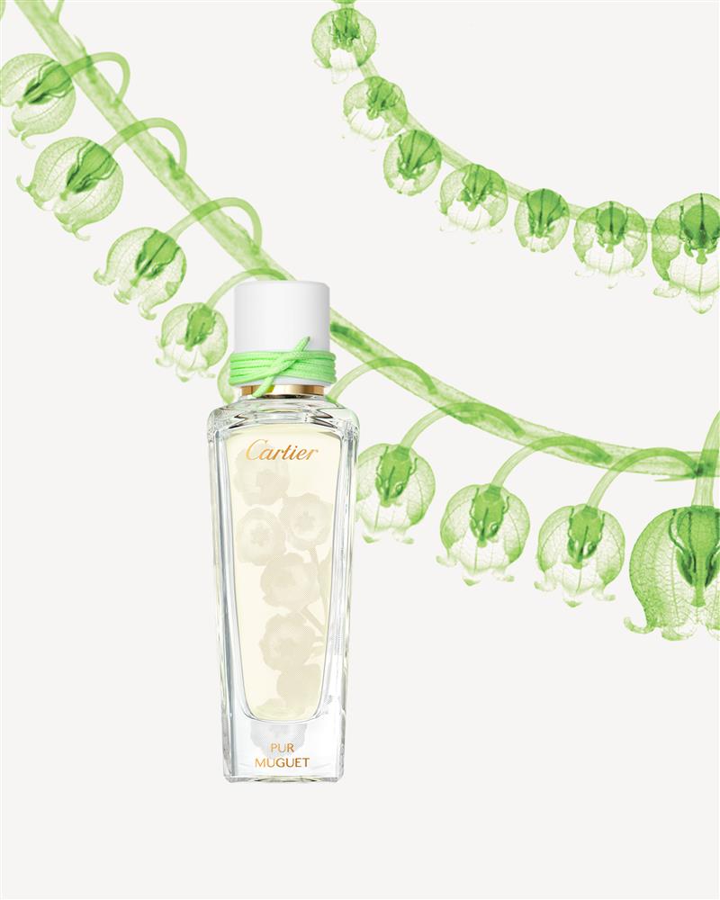 CRFG075003 - Les Épures de Parfum v2 CRFG075003 - Les Épures de Parfum v2