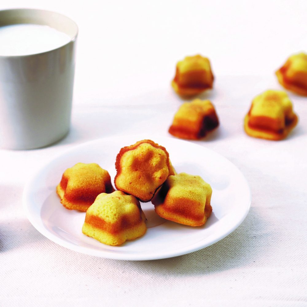 日本貓咪吐司9月快閃台北貓掌瑪德蓮