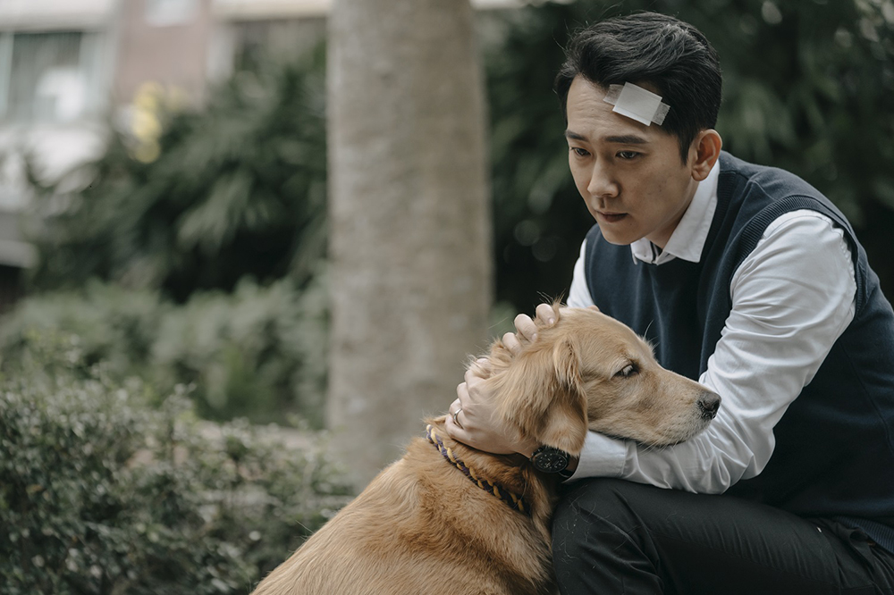 黑喵知情 黑喵知情