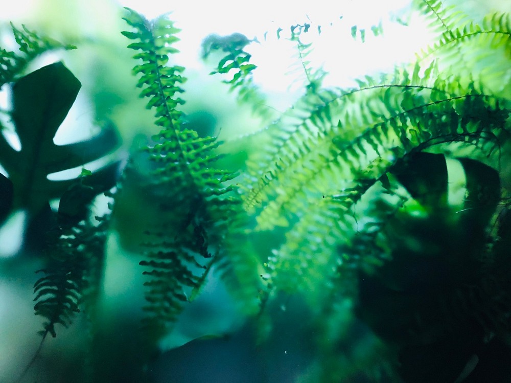 13個房間創作藝術節看不見的城市客房作品 山小屋2 13個房間創作藝術節看不見的城市客房作品 山小屋2