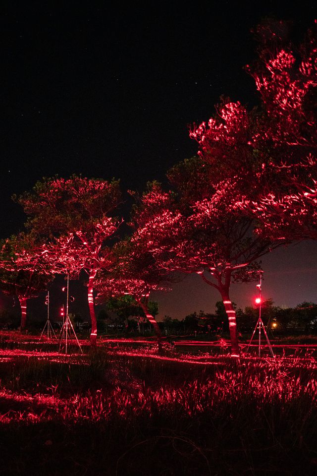 高德亮《草原座標 lite》、《星火》4