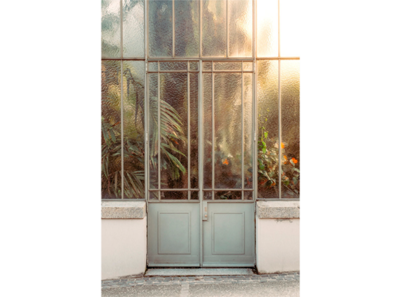 Samuel Zeller植物圖鑑攝影《Botanical》01 Samuel Zeller植物圖鑑攝影《Botanical》01