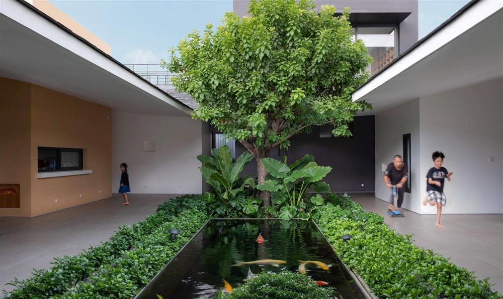 taa design house vietnam tree planted courtyard