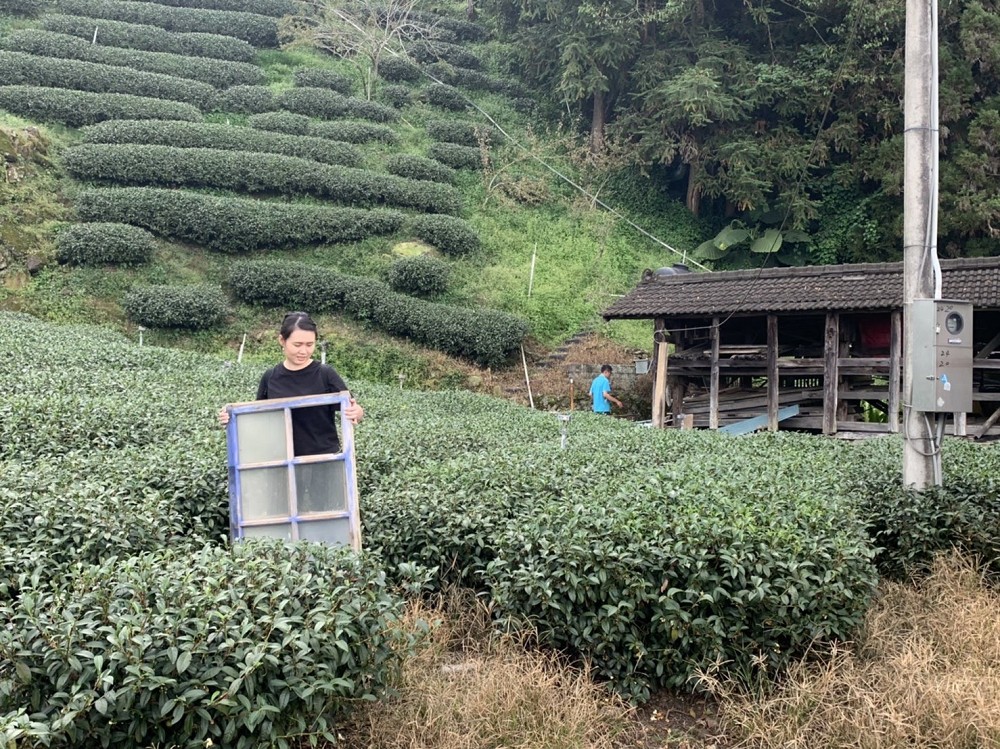 嘉義樟樹湖「山角鐵茶屋」 14