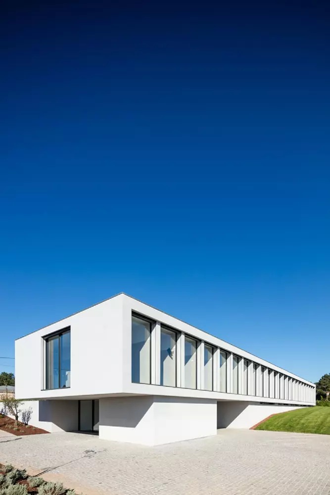 葡萄牙玻璃屋寵物旅館