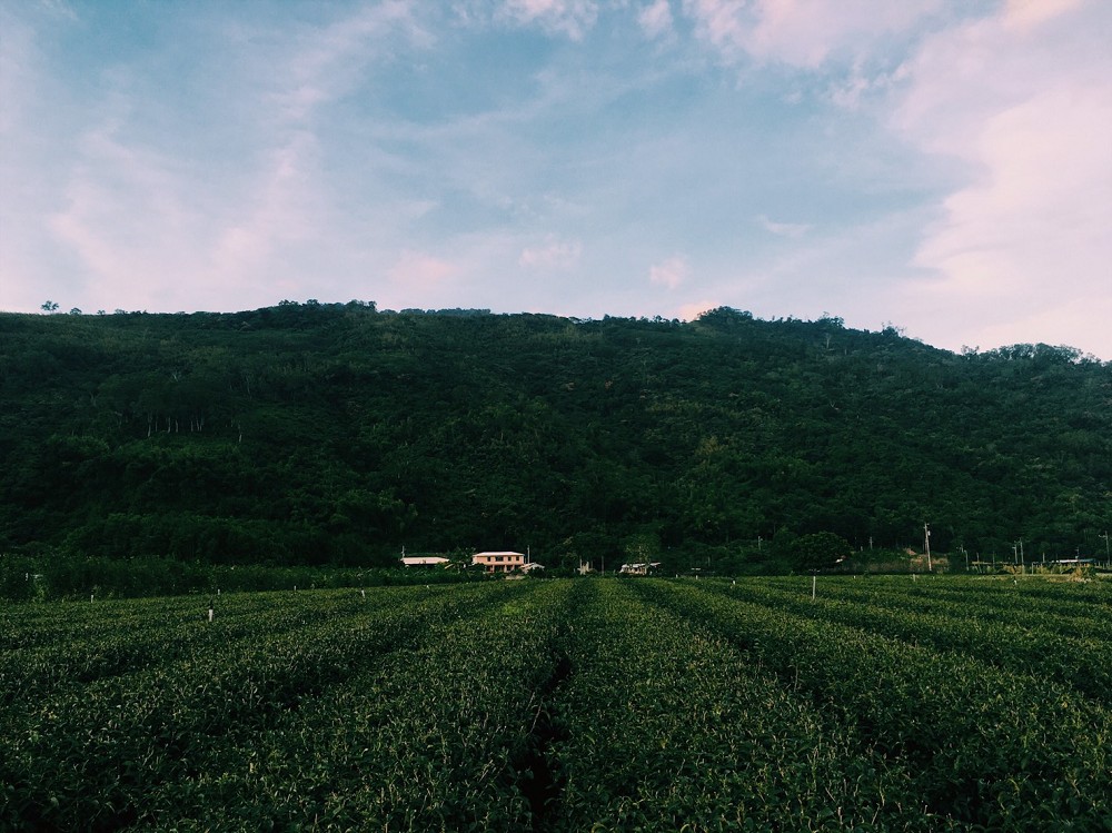 台東景點兩天一夜散策！饗嚮台東、博雅齋、法式餐廳、達魯瑪克部落09