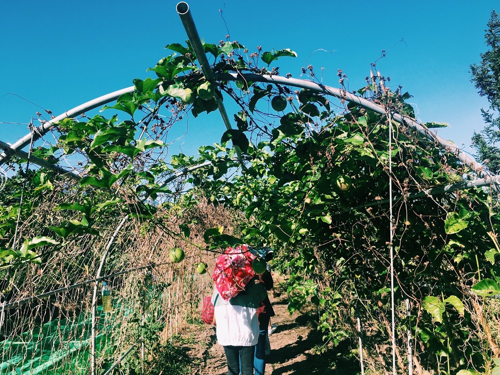 台東景點兩天一夜散策！饗嚮台東、博雅齋、法式餐廳、達魯瑪克部落02