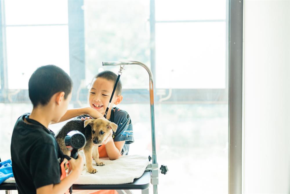 動物體驗＿我要幫牠洗香香 (2)