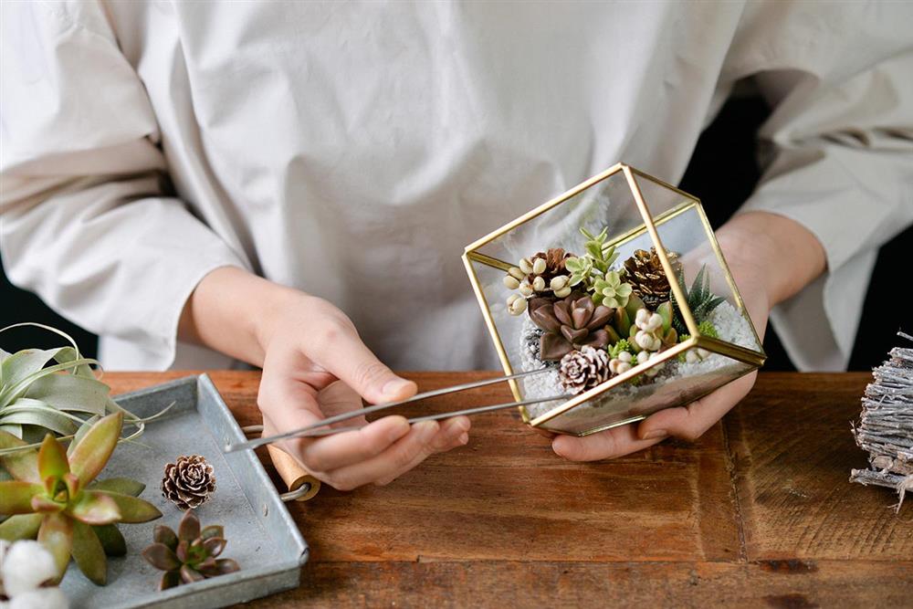 14.聖誕節的植栽課-多肉珠寶盒