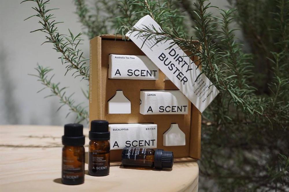 84070229_3111693368883112_9079847711724797952_o_1