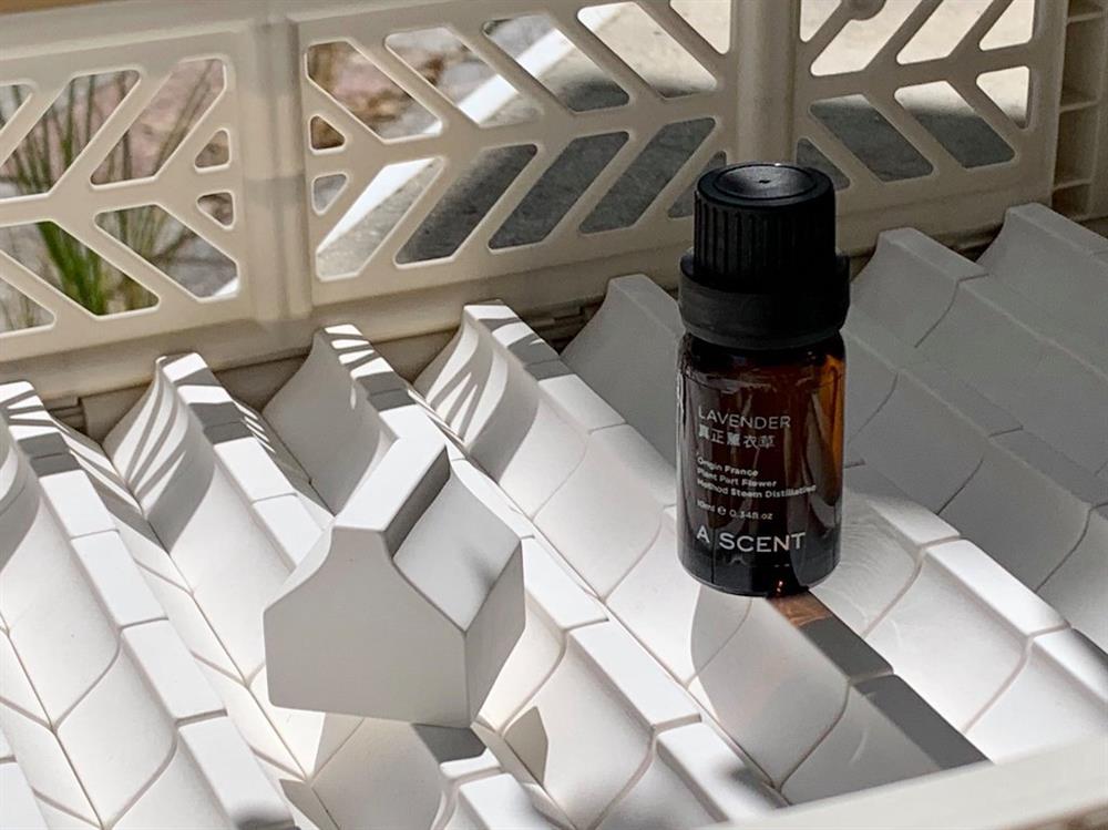 70412667_2732459216806531_8689857882314768384_o_1