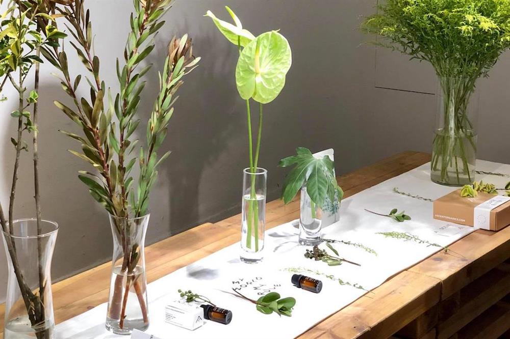 67131823_2618139108238543_251074614074015744_o_1