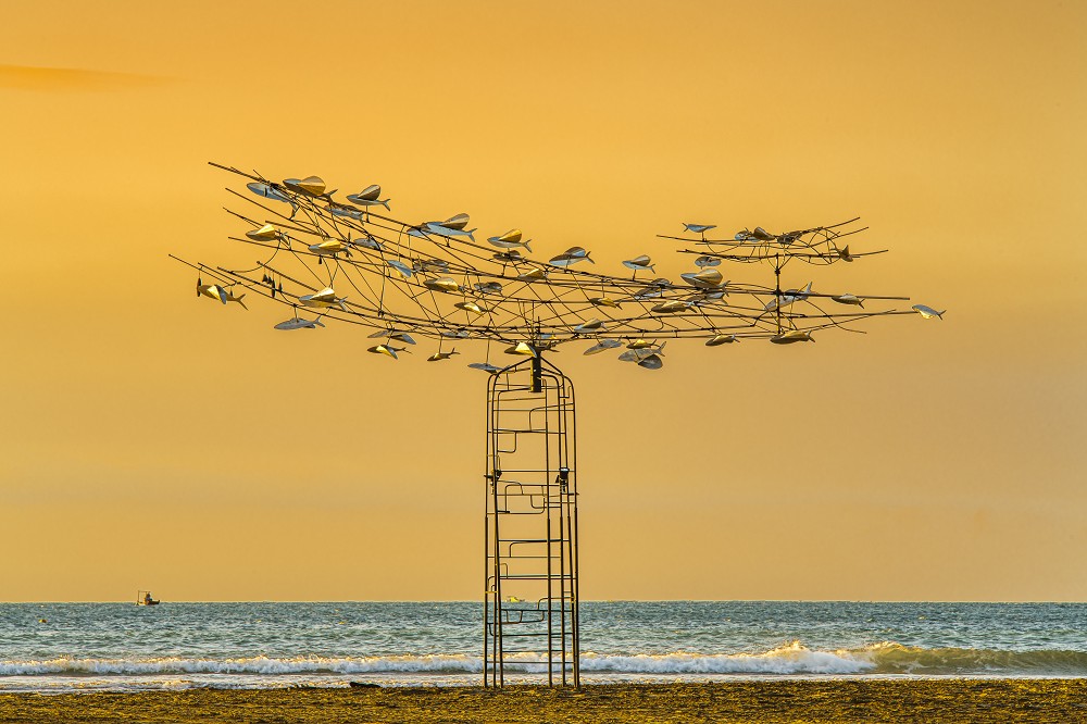 PhotoCap_7.飛魚來了12.13._19車城