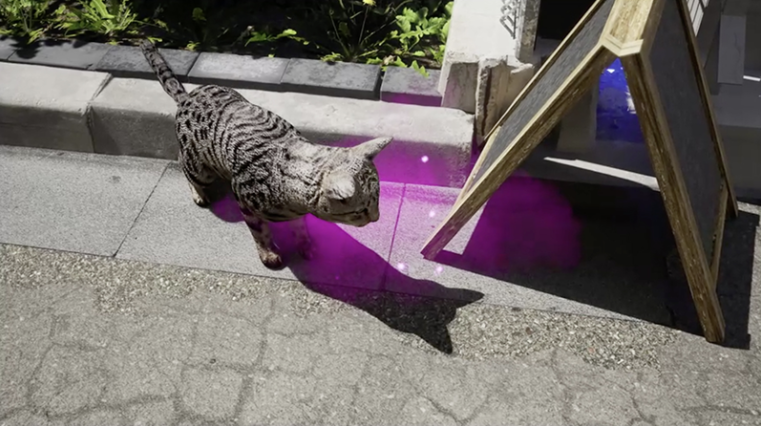 建築大師隈研吾日本最大巡迴展！以貓的5種視角檢視公共建築的可能