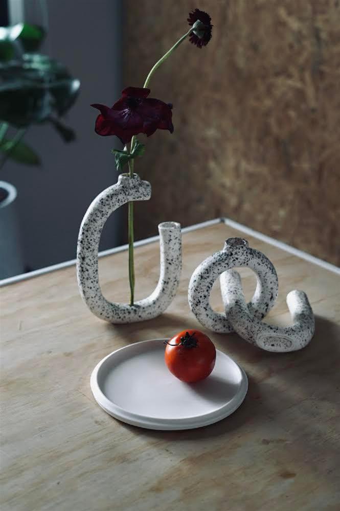 T22PHOTO-2020-12-14-15-31-40_2