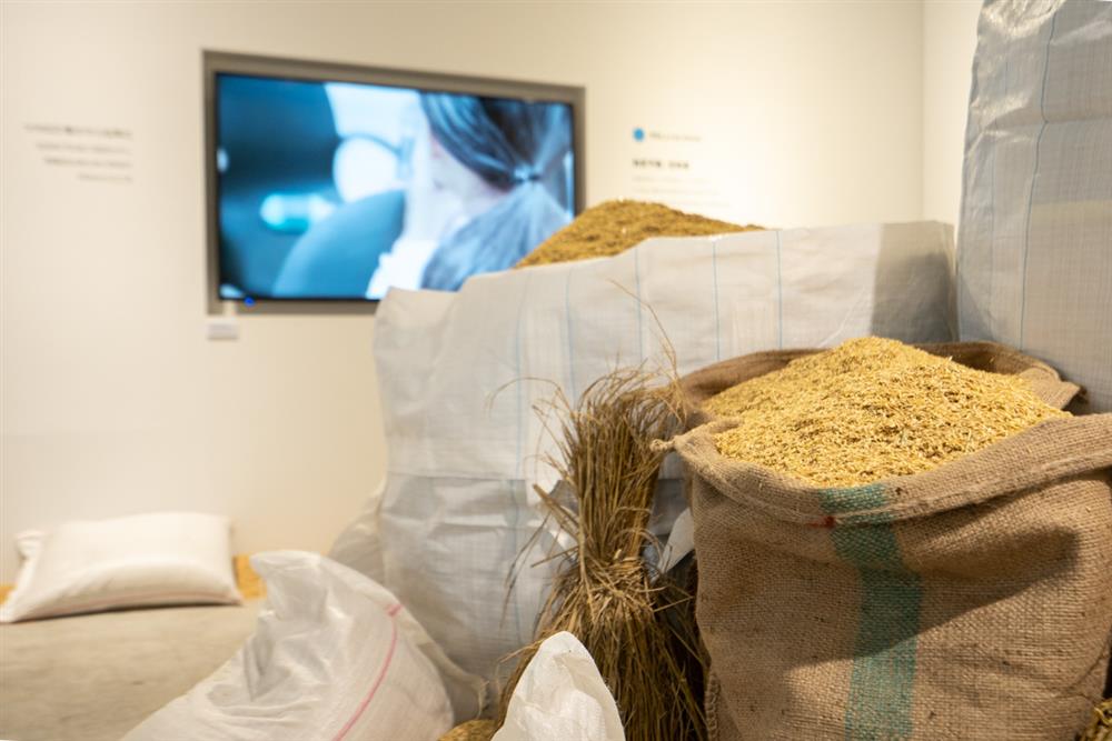 【大米缸計畫 台灣米 善動力】展 迷你花蓮好事集華山登場