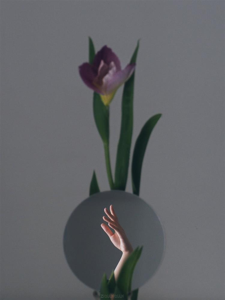 flipermag-2020-11-18_08-06-52_673552