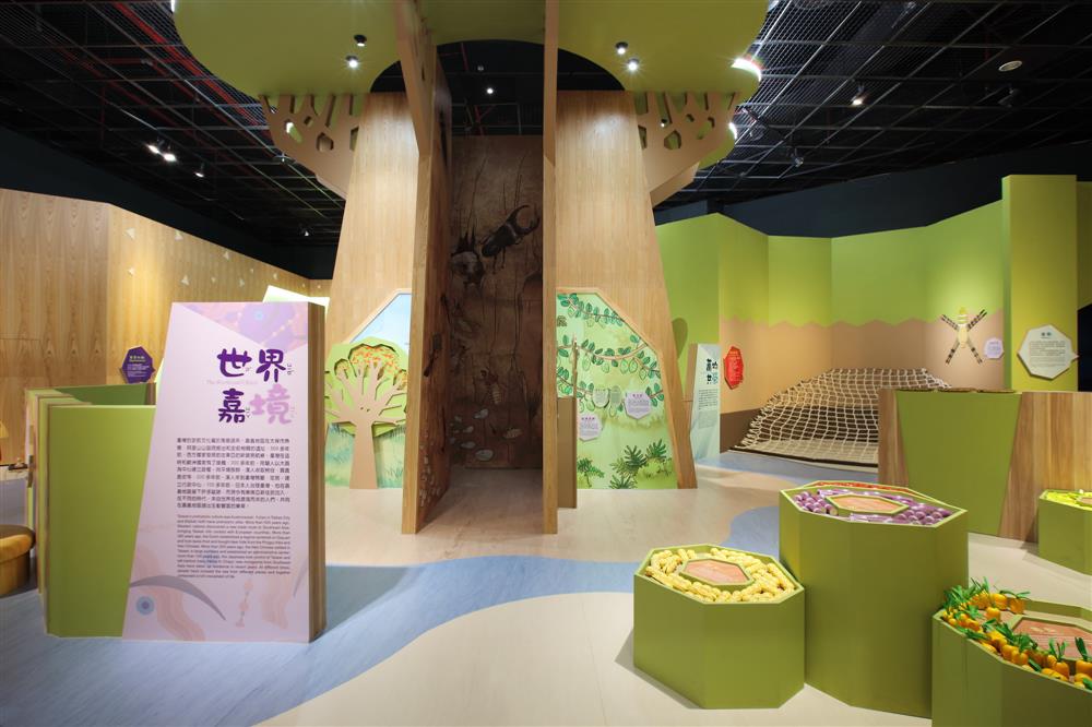 適合親子同遊的嘉義市立博物館「探索嘉園」兒童廳