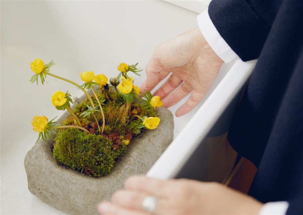 安代.哈維 P73_圖片來源:《KINFOLK 綠藝》三采文化 © Renée Kemps 安代.哈維 P73_圖片來源:《KINFOLK 綠藝》三采文化 © Renée Kemps