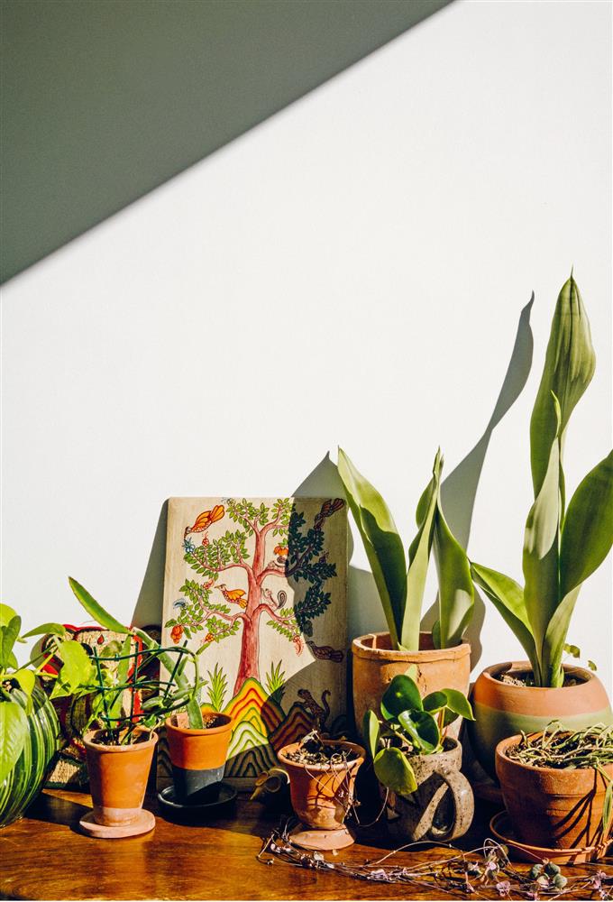 芬．古克路特 P19 _圖片來源：《KINFOLK 綠藝》三采文化 © Ekin Özbiçer芬．古克路特 P17 _圖片來源：《KINFOLK 綠藝》三采文化 © Ekin Özbiçer