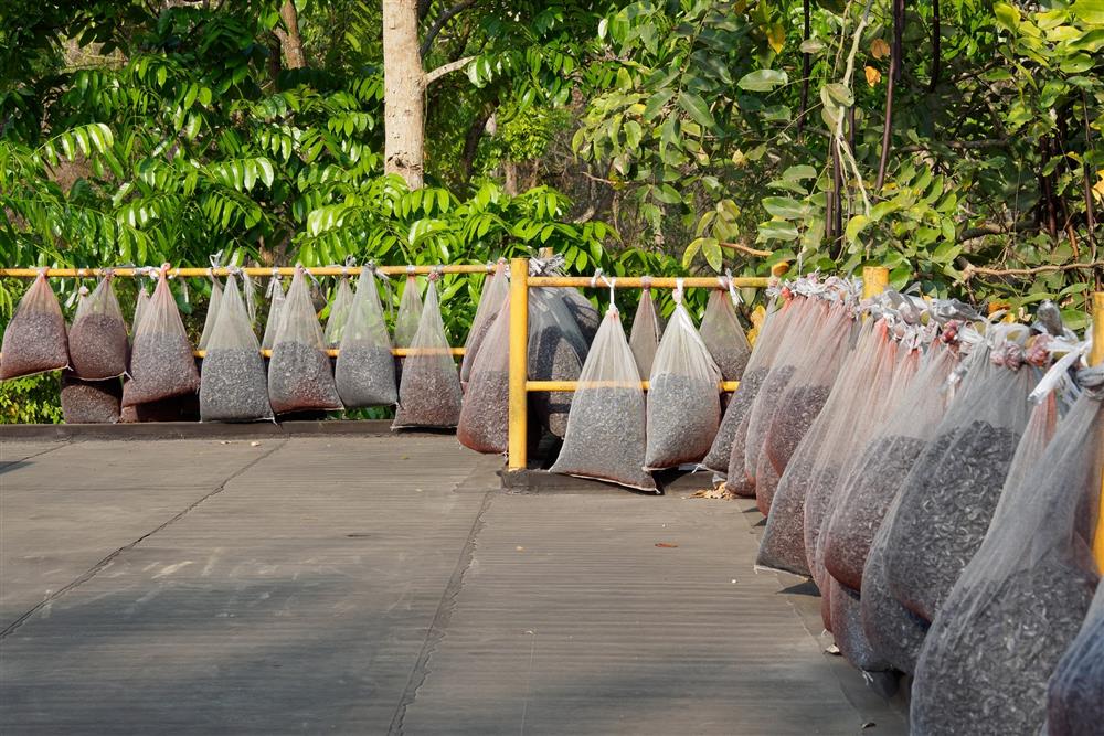 亞洲第一的嘉南大圳100歲！文創品牌、風土餐桌、藝術活動快閃同慶