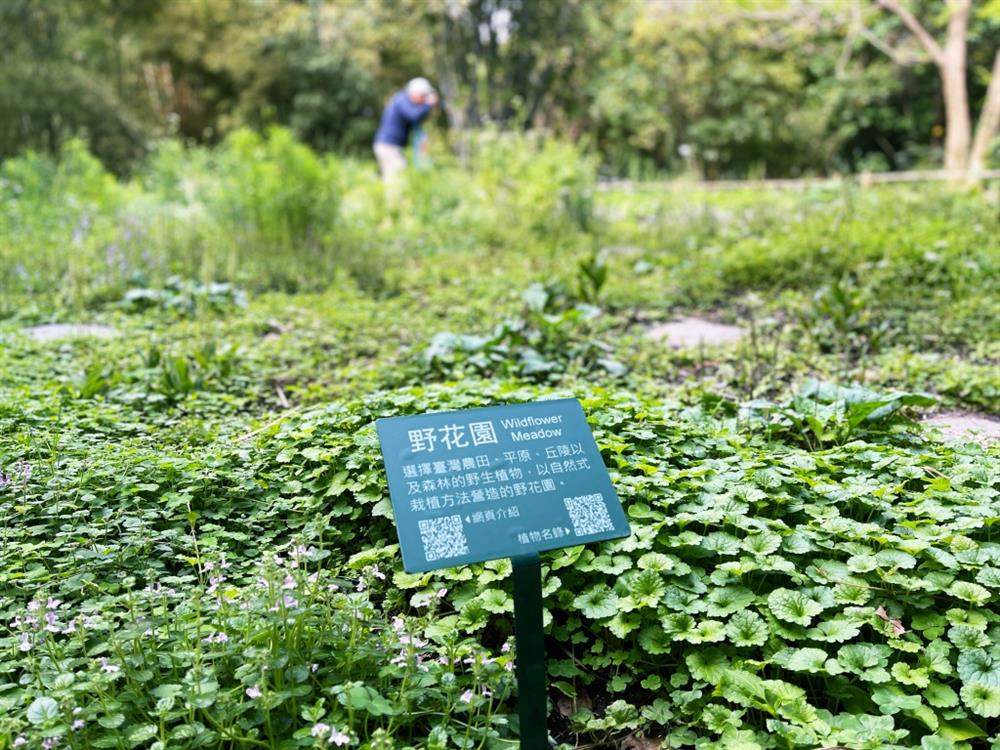 植物園「野花園」尋寶7