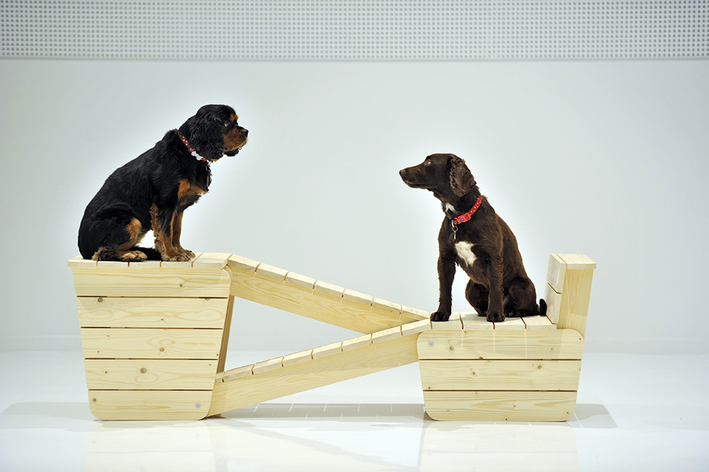 貓派與犬派的設計生活