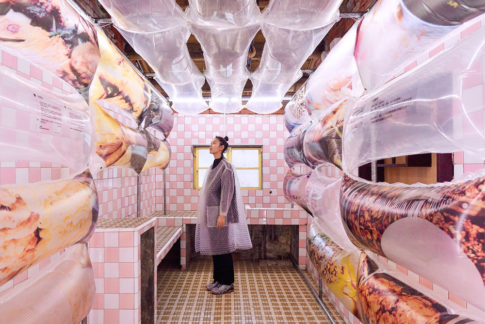 貓派與犬派的設計生活 貓派與犬派的設計生活