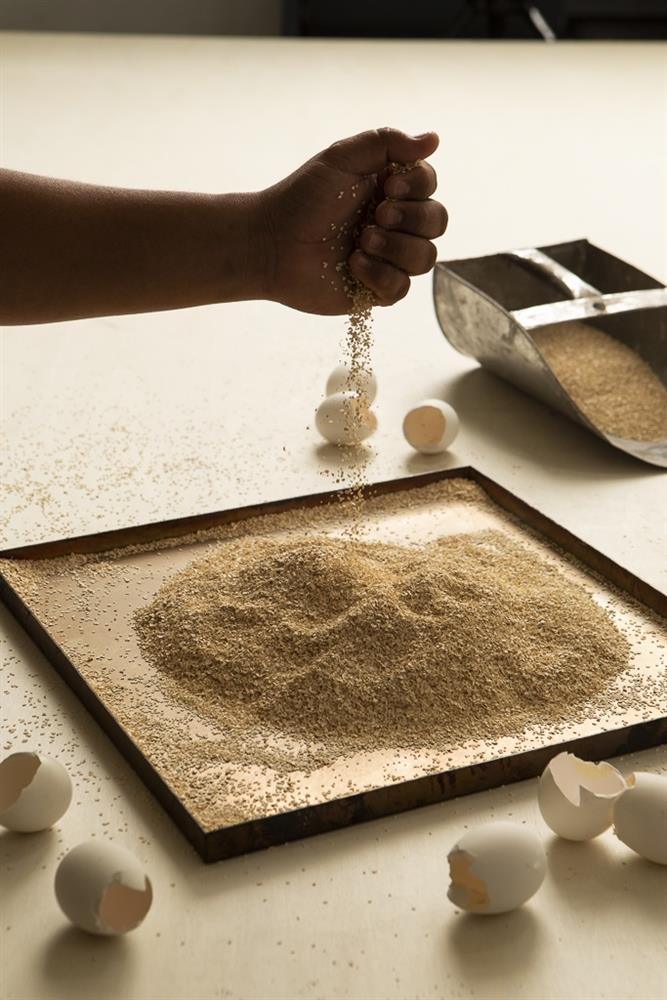 Elaine Yan Ling Ng Eggshell Brand蛋殼牆磚_05